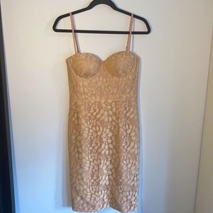 Floral Lace Bustier Midi Dress in Beige